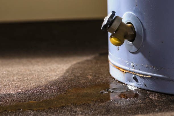 Best Water damage cleanup near me  in Jamesport, NY