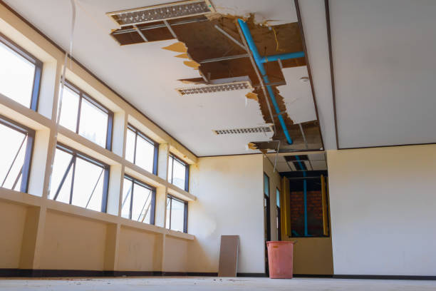 Best Flooded house restoration  in Jamesport, NY