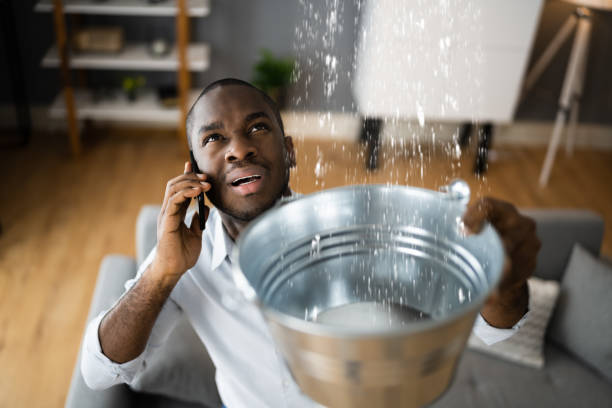 Best Professional water damage repair  in Jamesport, NY