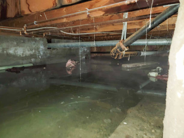 Best Water damage restoration cost  in Jamesport, NY