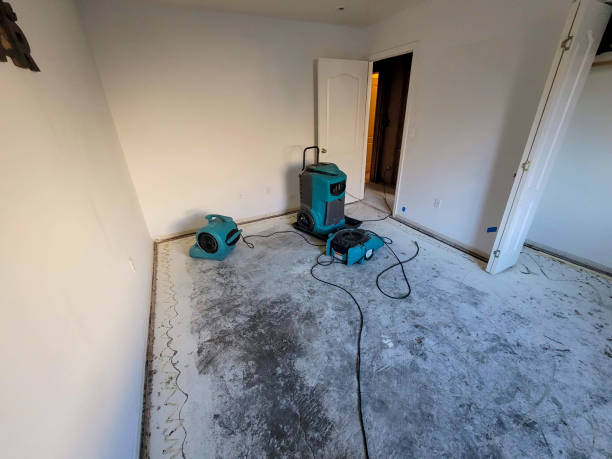 Best Water damage cleanup near me  in Jamesport, NY