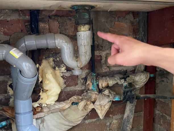 Best Water damage restoration mold remediation  in Jamesport, NY